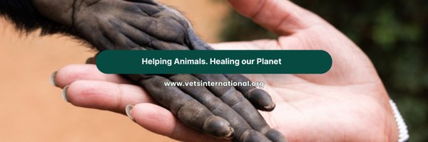 vetintl Profile Banner