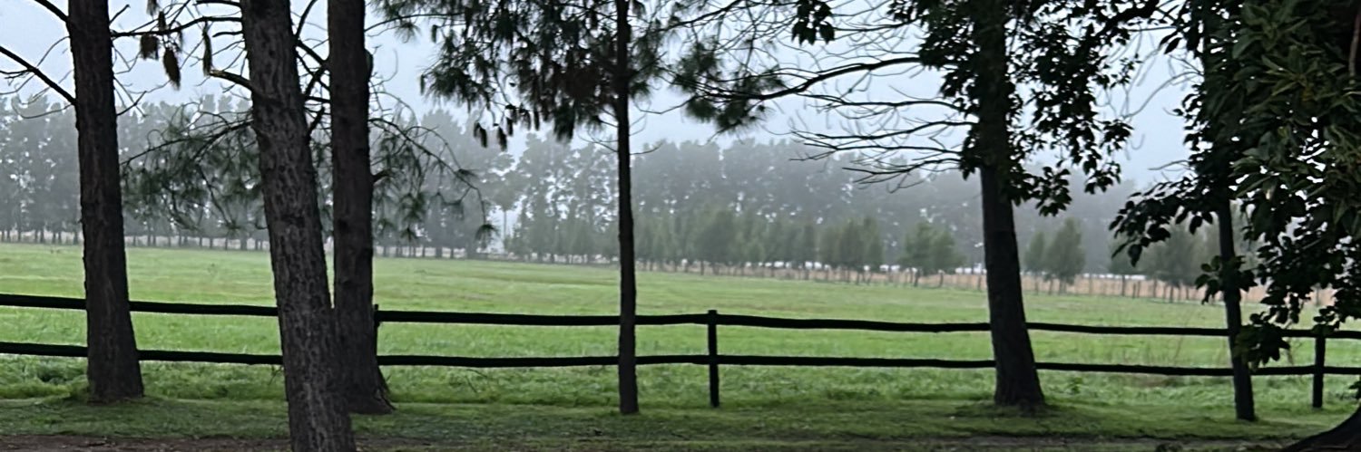 coyaciani's profile banner image