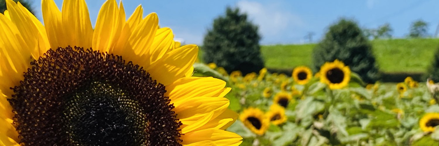 halchos69's profile banner image