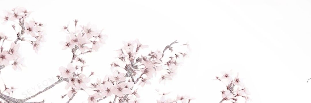 julia_camatta's profile banner image