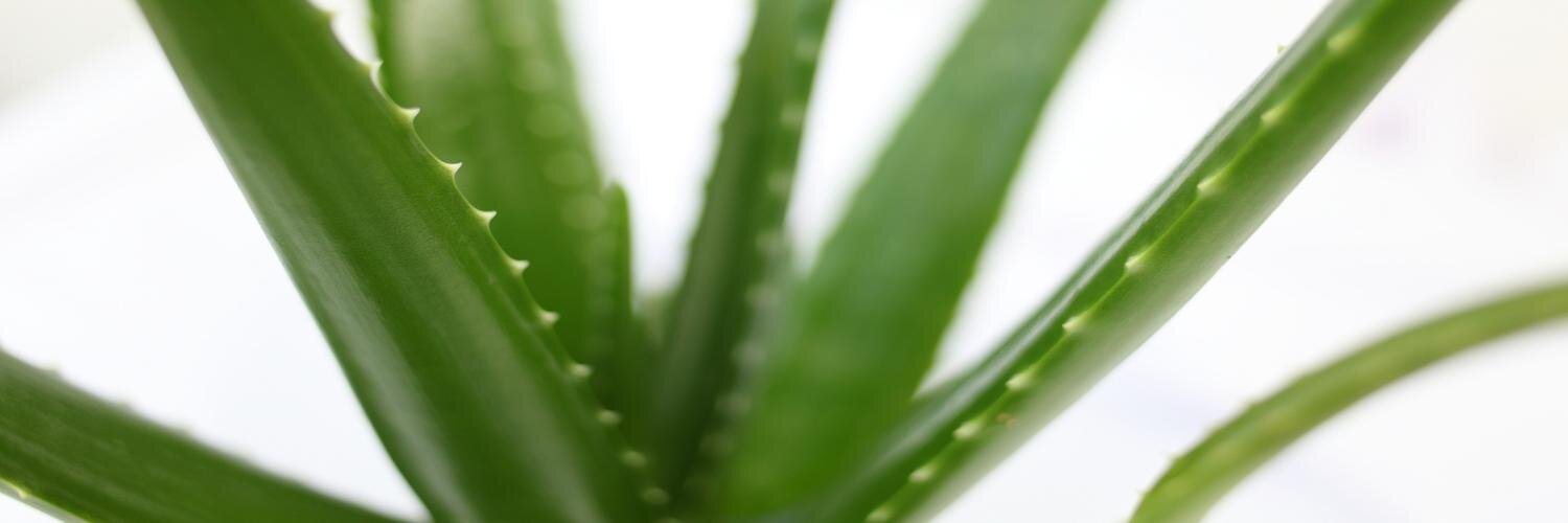 Eternal Skincare banner