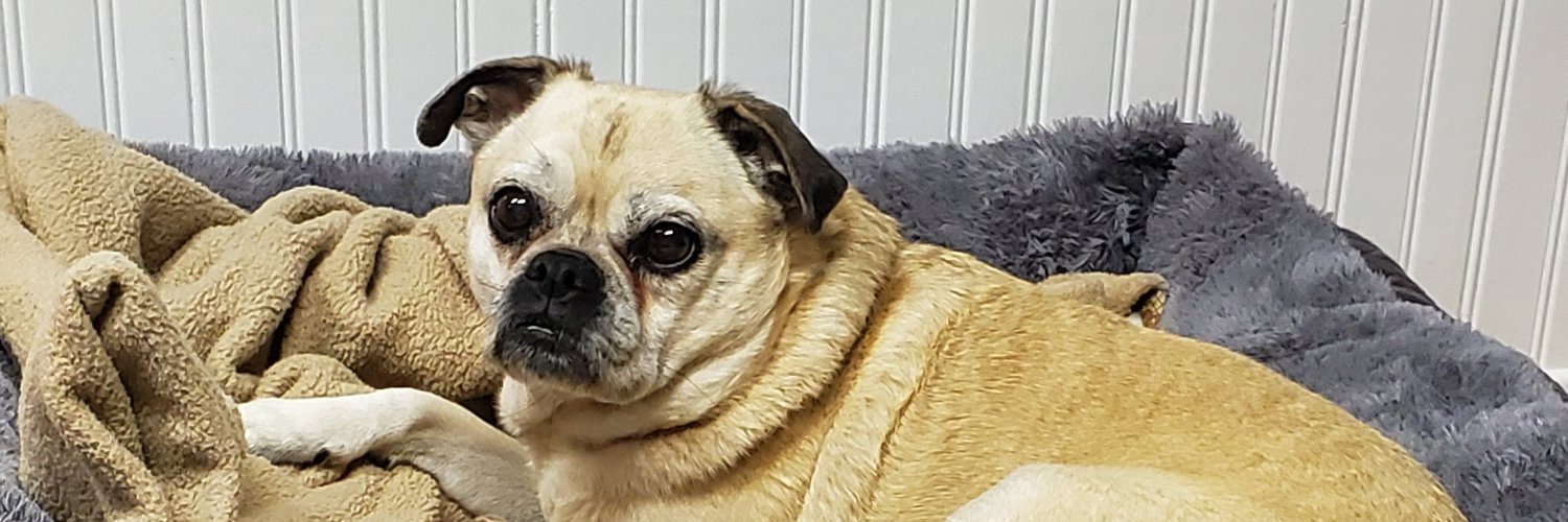 Bryan Matheson banner