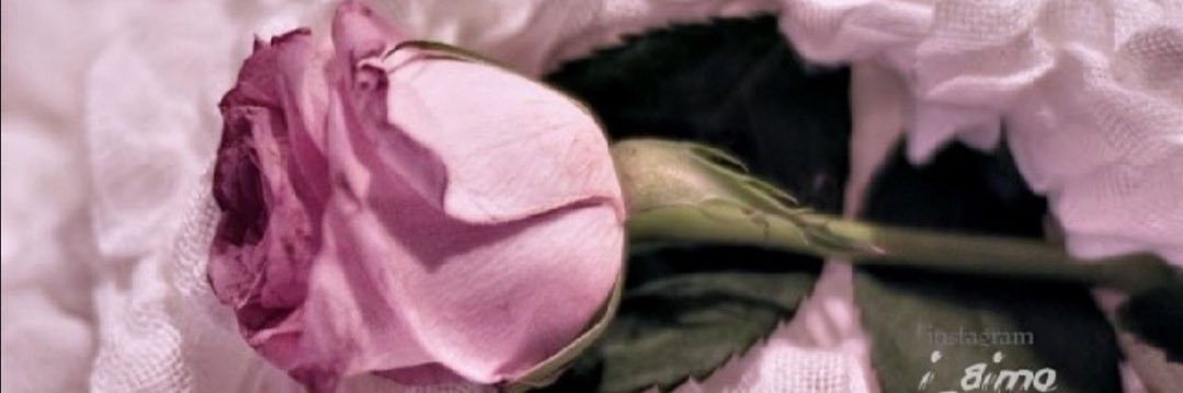nonoy_671's profile banner image