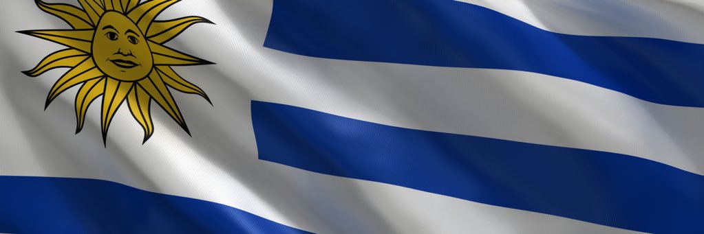 feragucru's profile banner image
