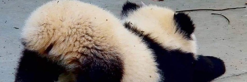 Sk8Urso's profile banner image