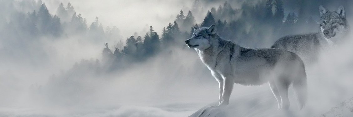 Restnbethankful banner