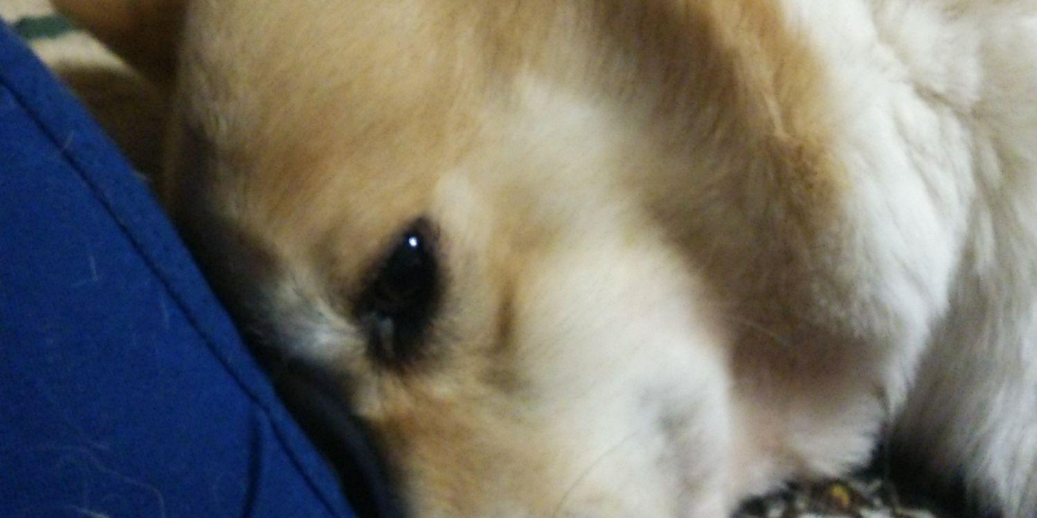 harupotaaa's profile banner image