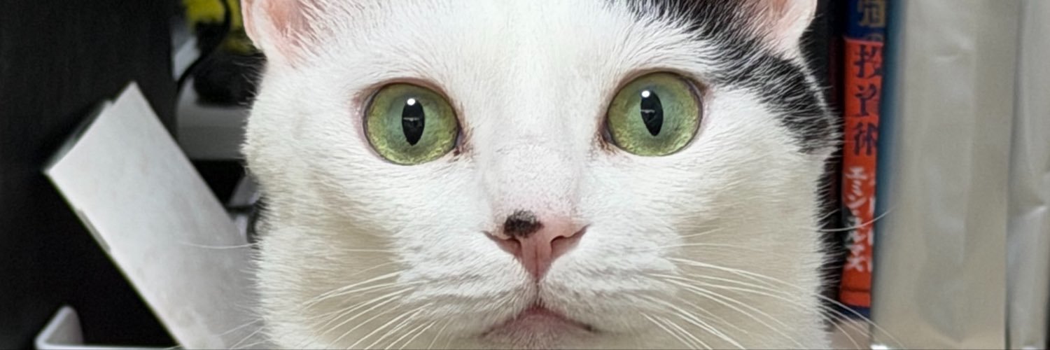 Cryptopetjessie's profile banner image