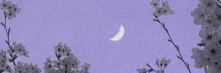 avian611's profile banner image