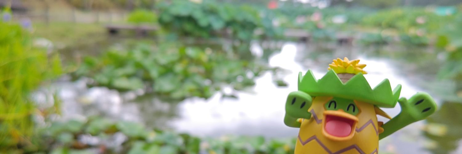 lotad_ko's profile banner image