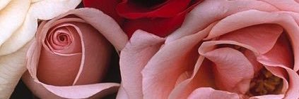ats_diet's profile banner image