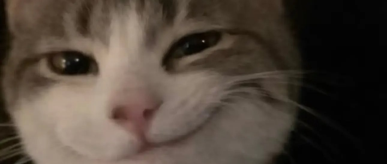 brukeket_'s profile banner image