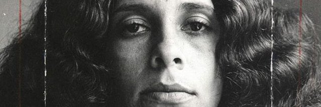 zé brasilidade banner