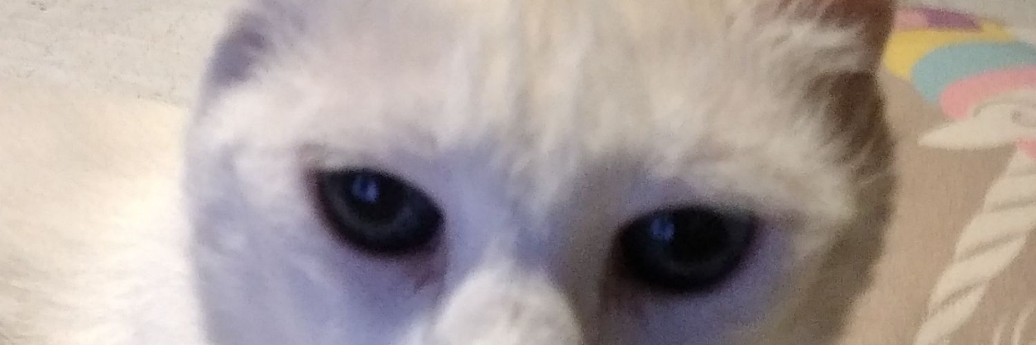 jocyta1422's profile banner image