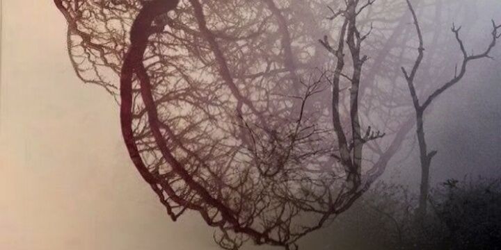 queen_of_hellll's profile banner image