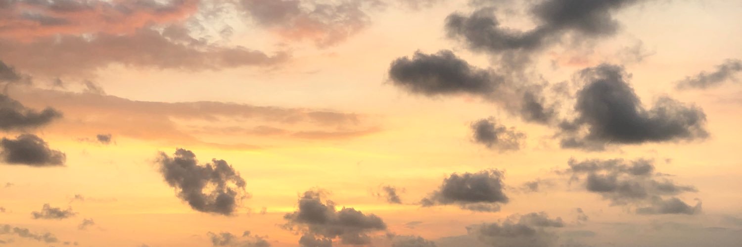 nbltasya's profile banner image
