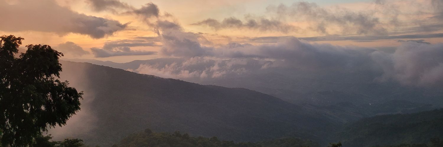 Vitamilkch's profile banner image