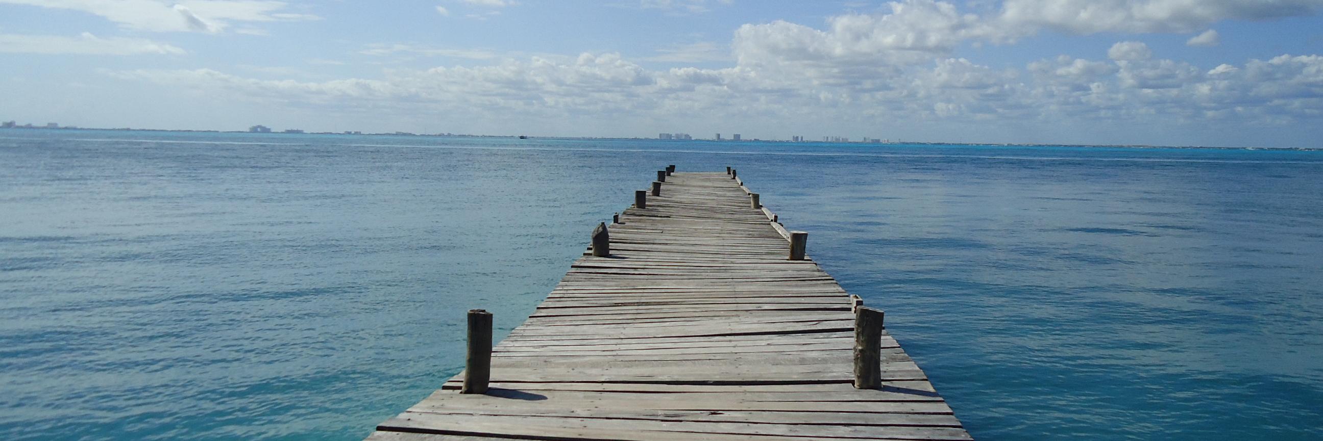 Denise Scuffi banner