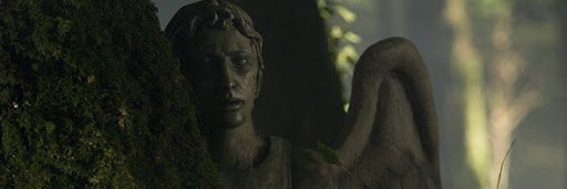 ScottishRedPond's profile banner image