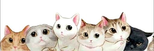 dareyzha's profile banner image