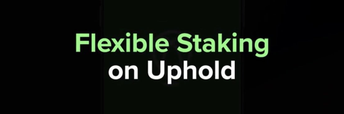 Adam Vondersaar banner