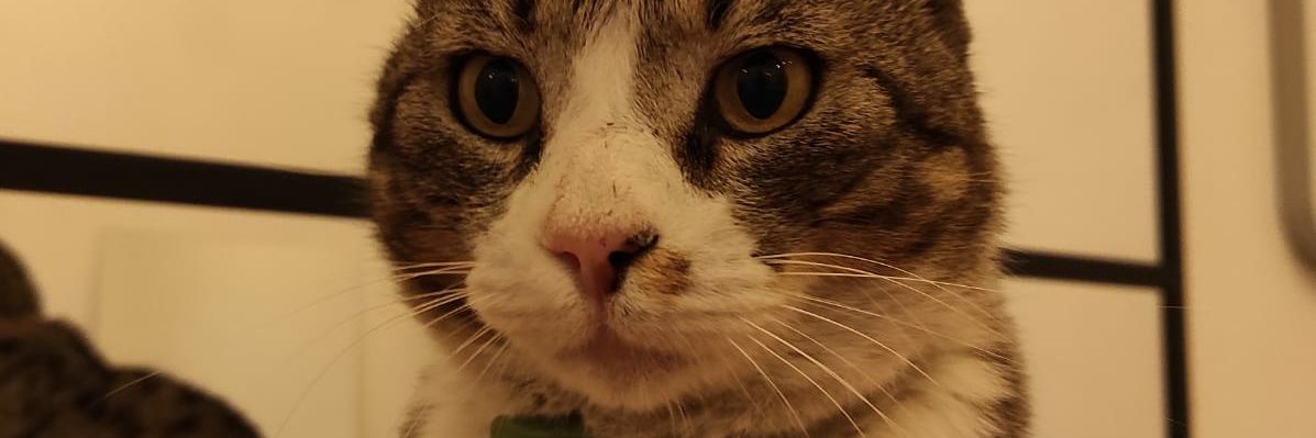 ronaresposito's profile banner image