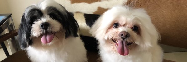 directfromncn Profile Banner