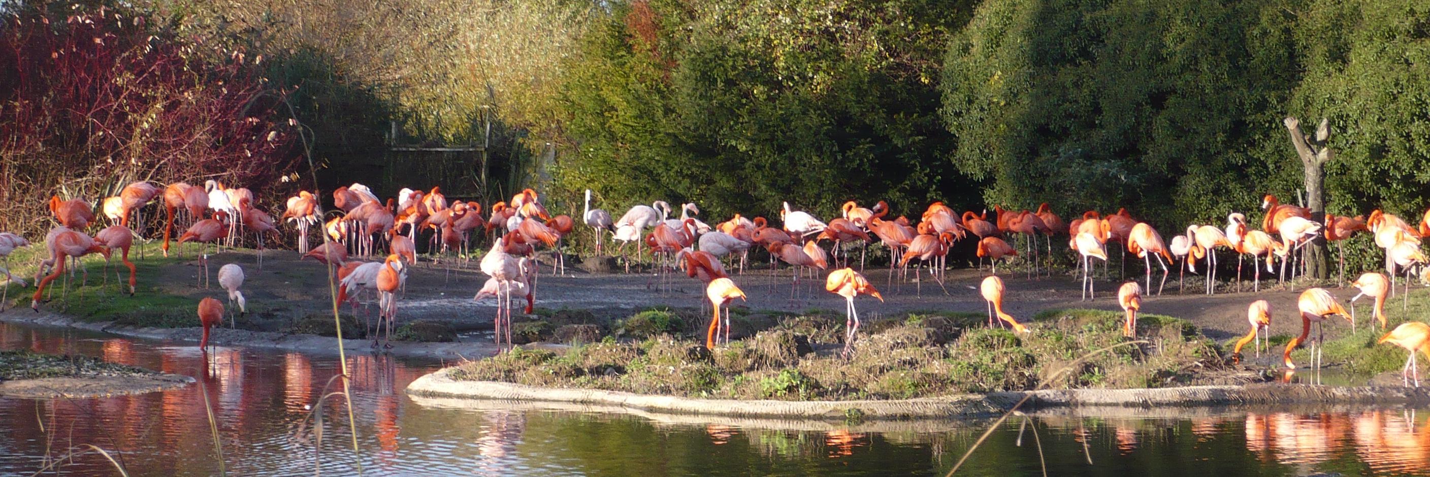 Margaret Pemberton banner