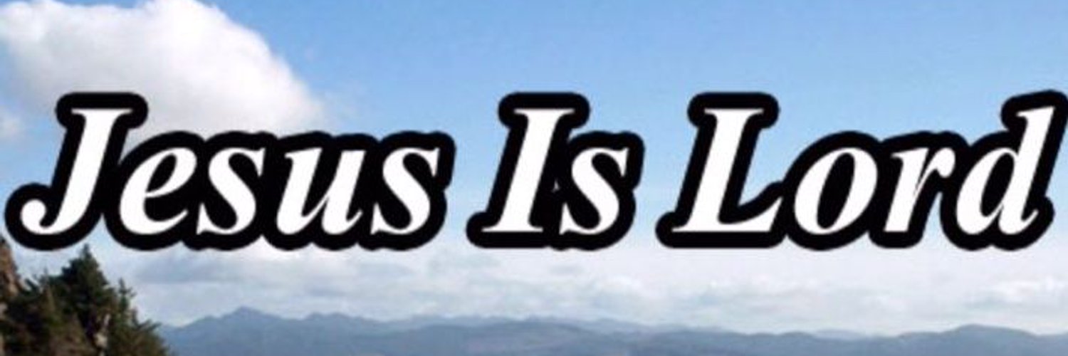 niehus938's profile banner image