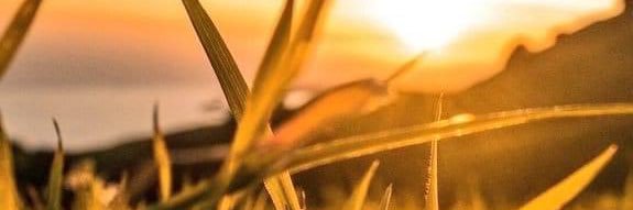 CS_202135's profile banner image