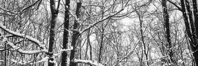 940snowboards's profile banner image