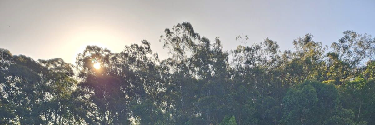 karoliscr's profile banner image