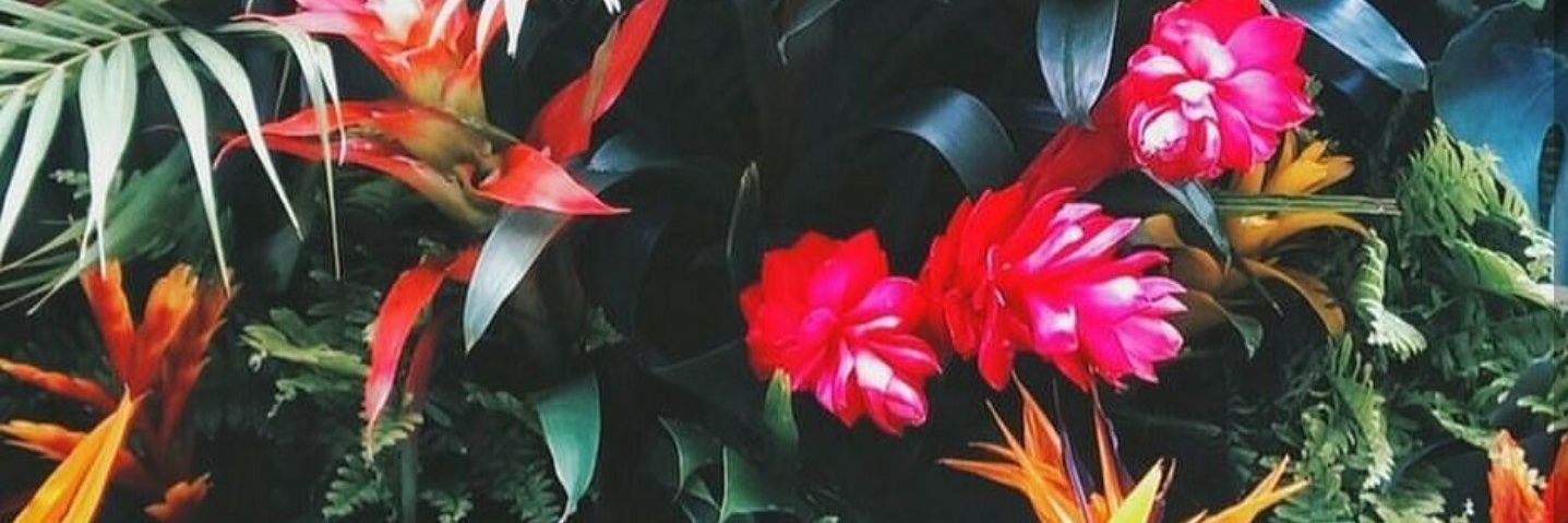 skylervaughn23's profile banner image