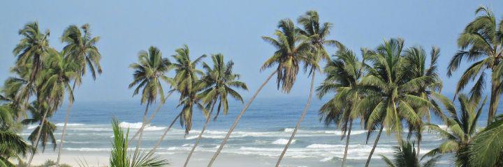 salalah_sr's profile banner image