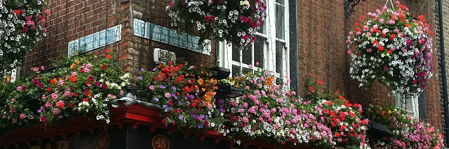 Julen Elgeta Guenetxea banner