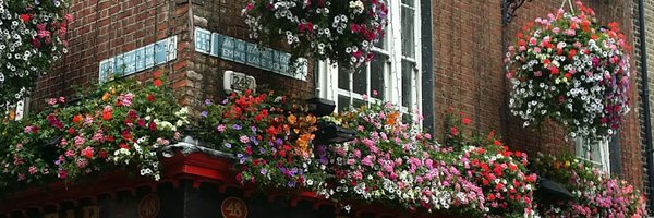 JulenElgeta Profile Banner