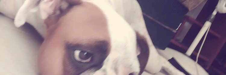 YedirethC's profile banner image
