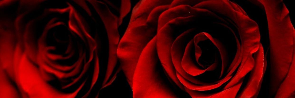 wwff55555's profile banner image