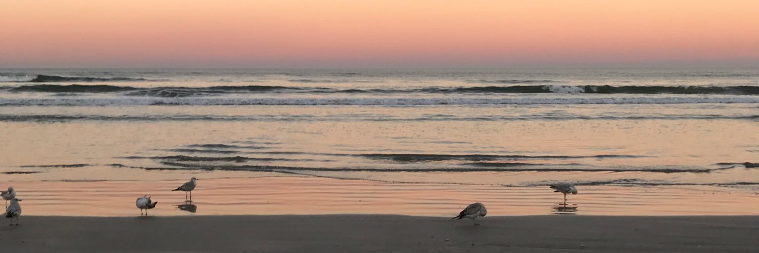 _paigebryan_'s profile banner image