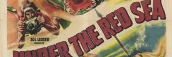 ingmarhoerr Profile Banner