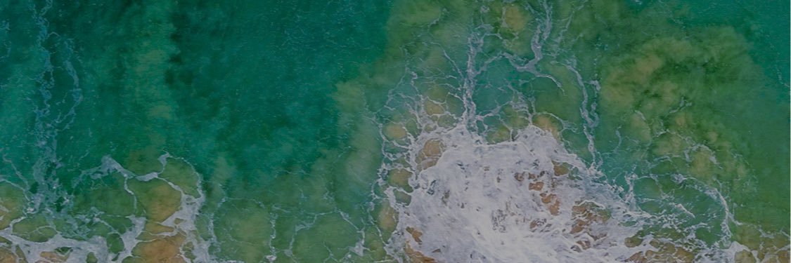 Rabah Arezki banner
