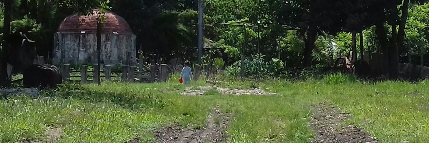 Henry Constantin banner