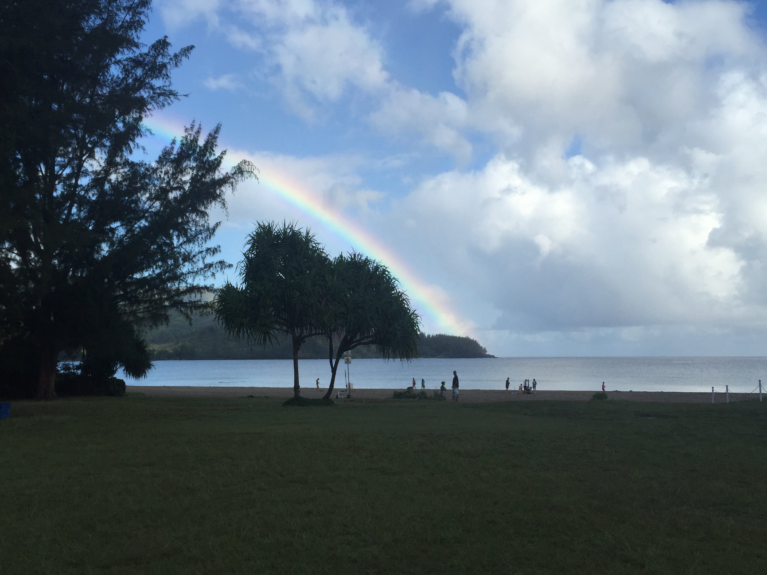 Lydia Chen Shah banner