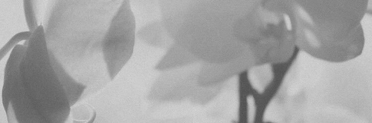 𝑣𝑎𝑠𝑖𝑙𝑖𝑠𝑎 𝑠𝑜𝑙𝑒𝑖𝑙. banner