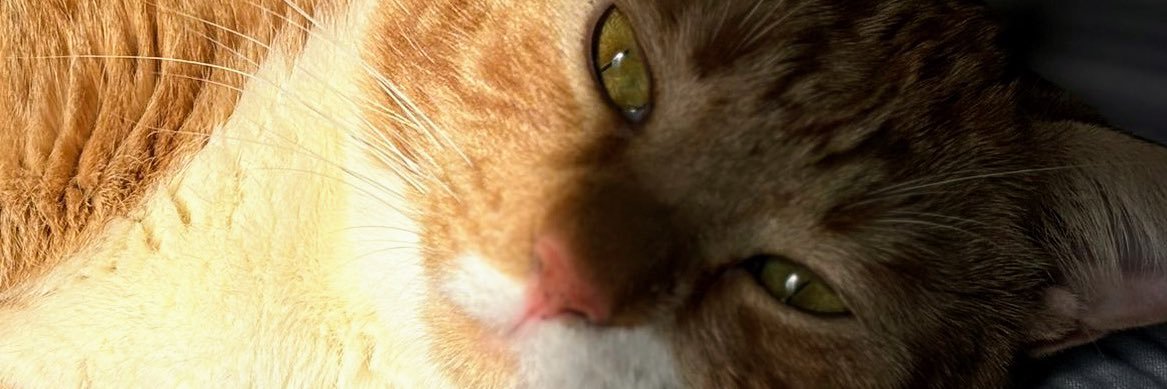 HollyDuque's profile banner image