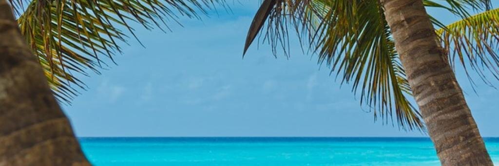 patpoulin's profile banner image