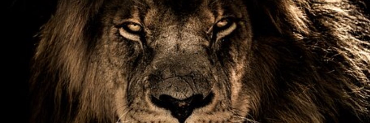 NoahFoster_8's profile banner image