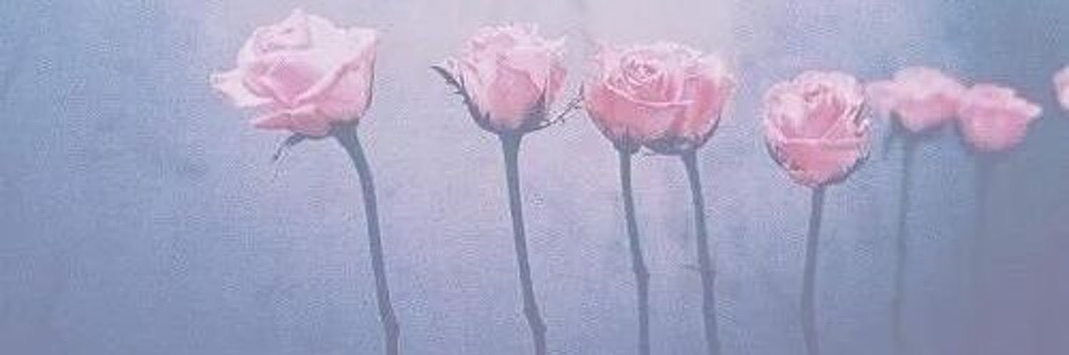 abeer1150's profile banner image
