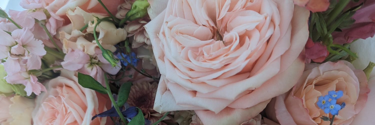 kate_willz's profile banner image