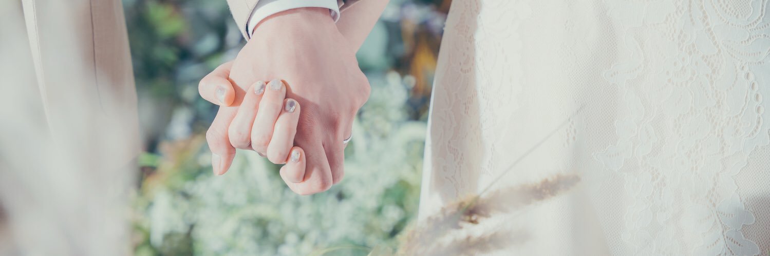 __mstkni's profile banner image